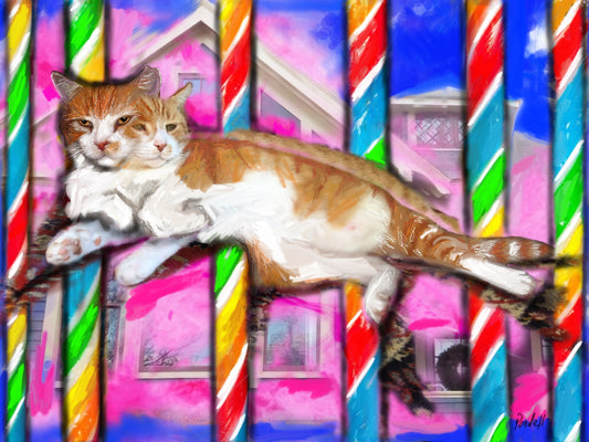 An alley cat finds a home