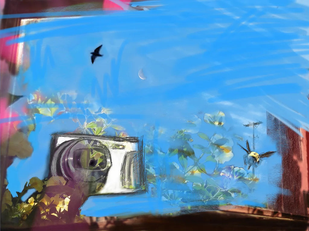 Can I Expound The Skys